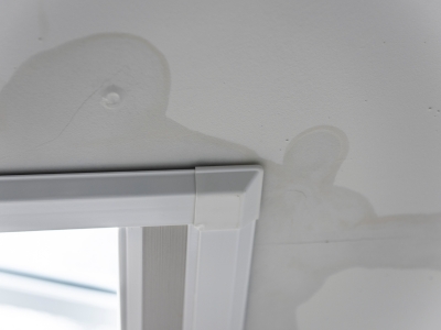 skylight